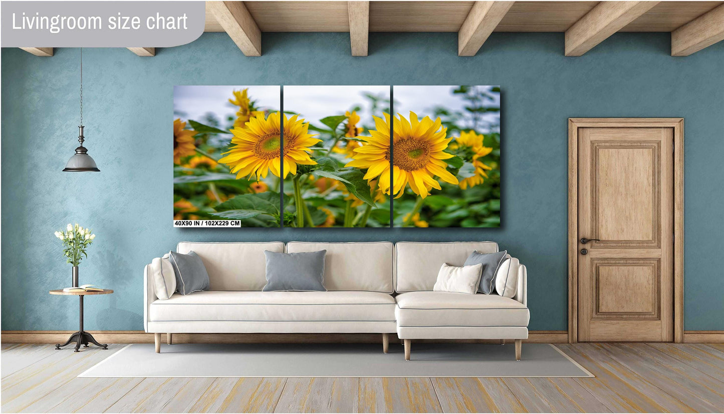 Sunflower Field Wall Art - Vibrant Yellow Sunflower Canvas Print | Rustic Farm Landscape
