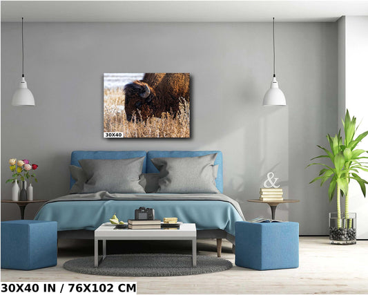 Bison Wall Art Print – Rustic Wildlife Canvas | Snowy Landscape Acrylic Decor