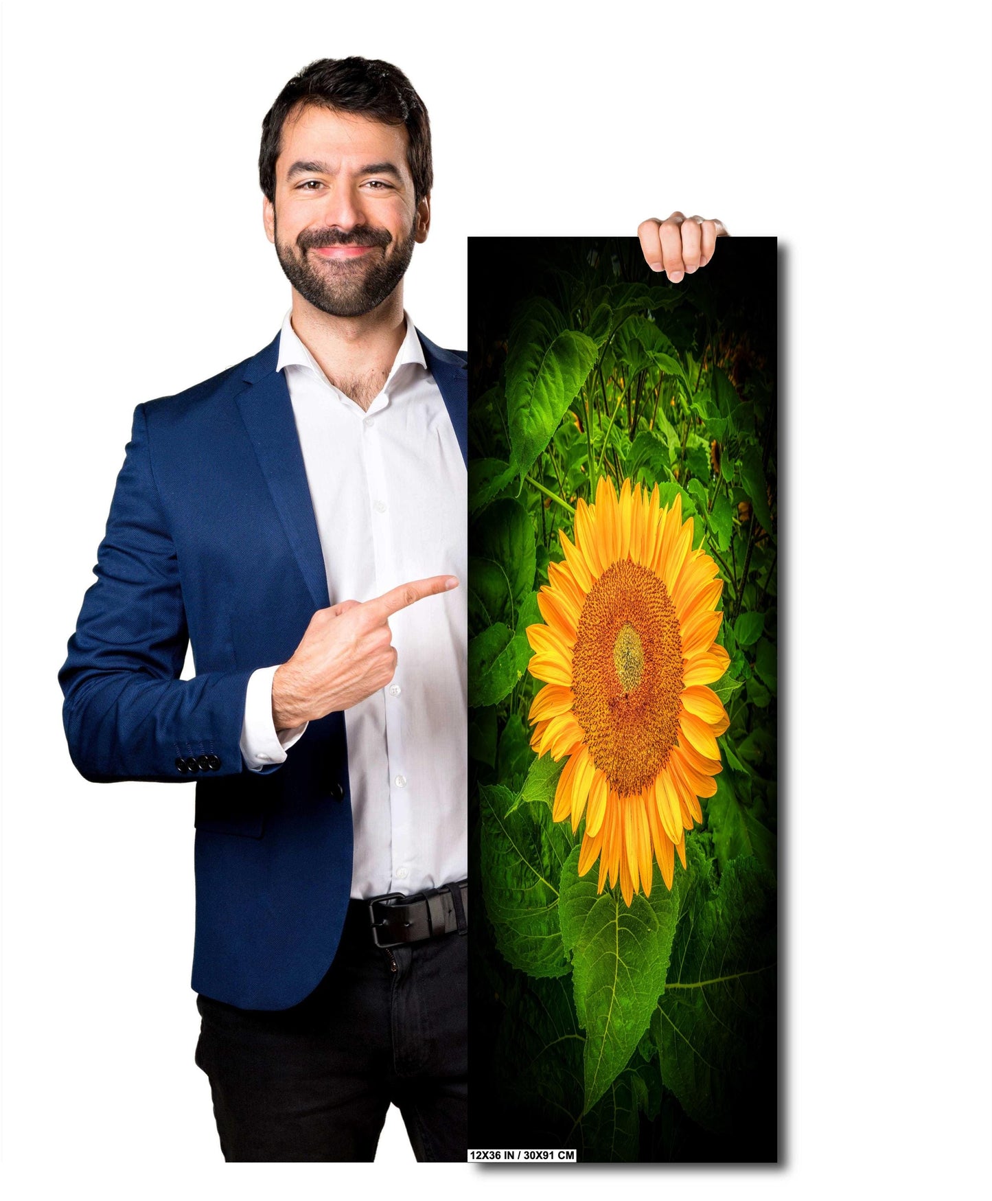 Sunflower Sunset Photo - Fine Art Photography Print | Large Canvas & Wall Art