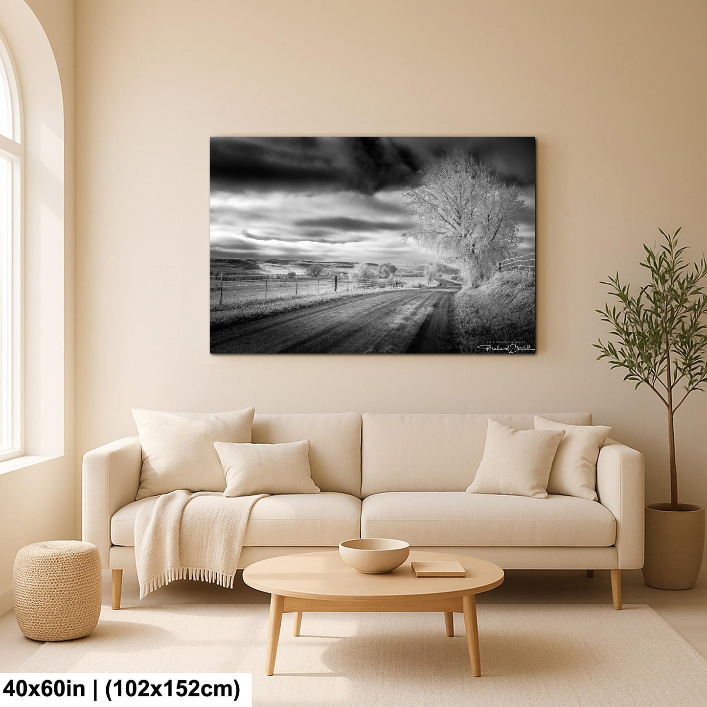 Winter Country Road Print: Black & White Landscape (Canvas or Metal)