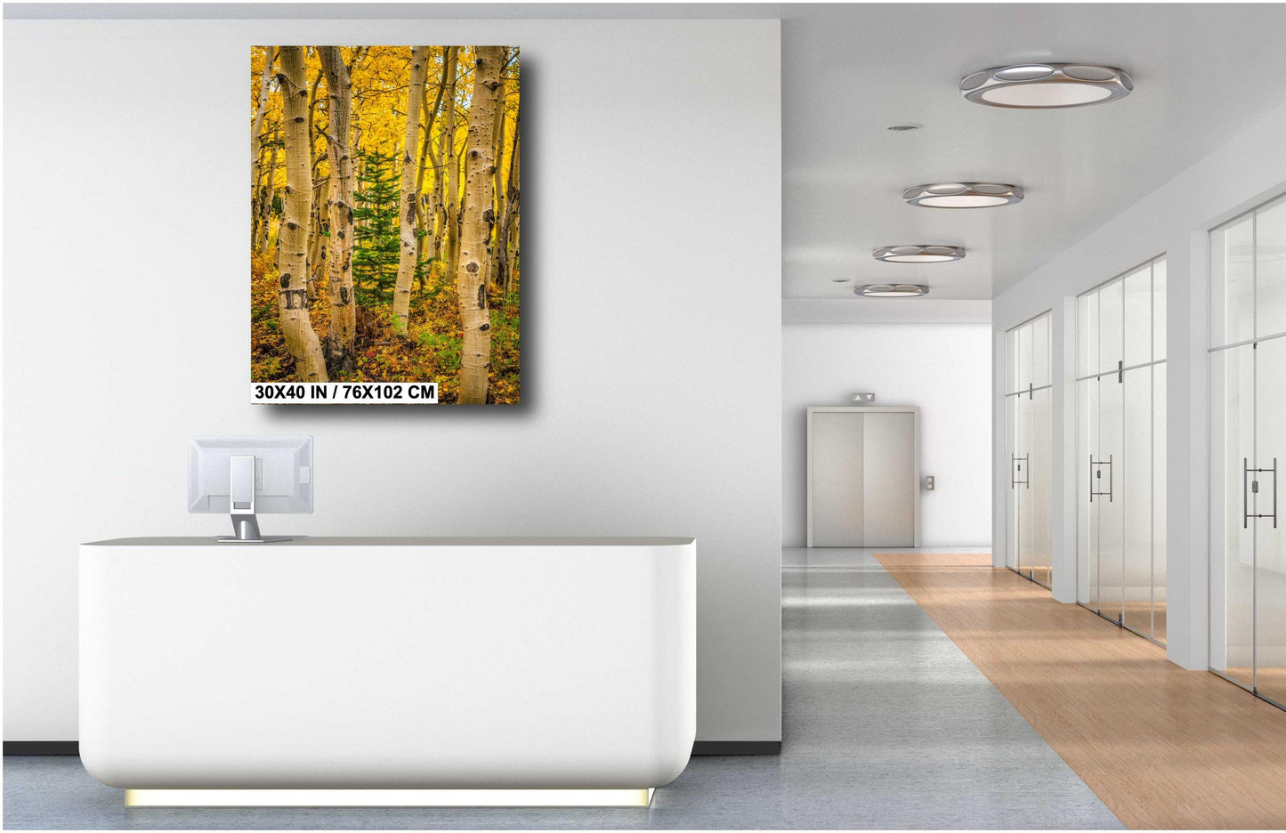 Colorado Aspen Wall Art – Large Autumn Tree Decor with Golden Leaves & Mountain Landscape Print