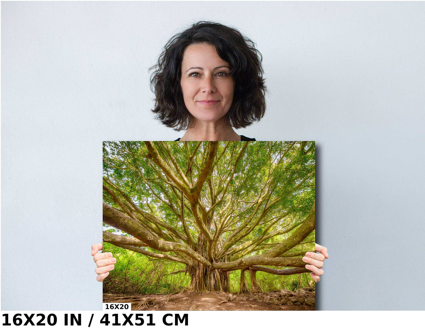 Maui Wall Art - Banyan Tree Photo on Premium Photo Paper | Hawaii Wall Decor