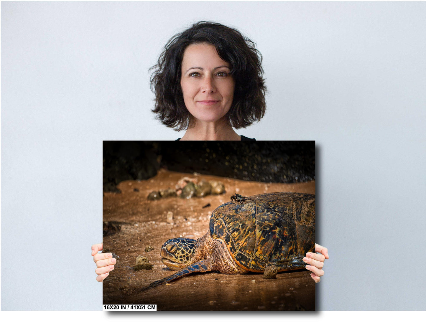 Sea Turtle Wall Art - Ocean Photography Print | Tropical Marine Life Artwork