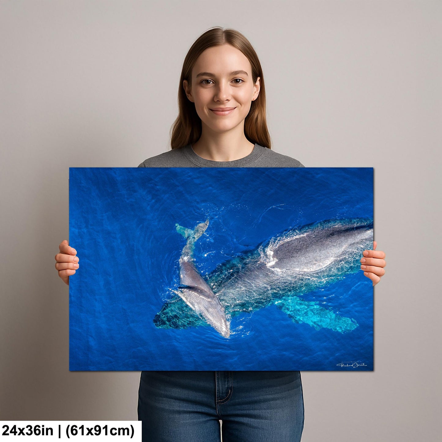 Humpback Whale Wall Art - Ocean Animal Print on Canvas, Metal, or Acrylic