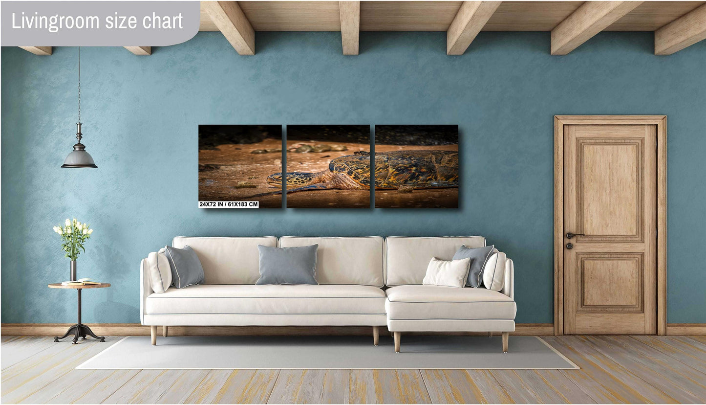 Sea Turtle Wall Art - Ocean Photography Print | Tropical Marine Life Artwork