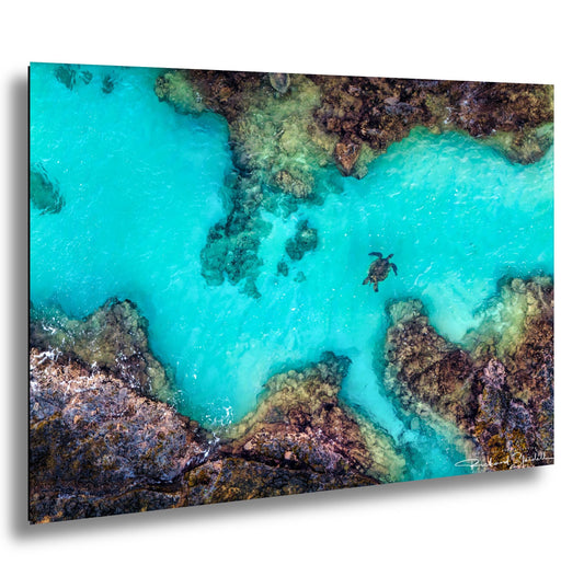 Sea Turtle Wall Art – Maui Reef Scene | Tropical Coastal Decor, Ready To Hang Art