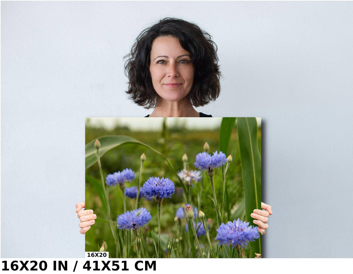 Colorado Wildflower Photo - Vivid Color Photograph | Ready to Hang Canvas & Metal Print