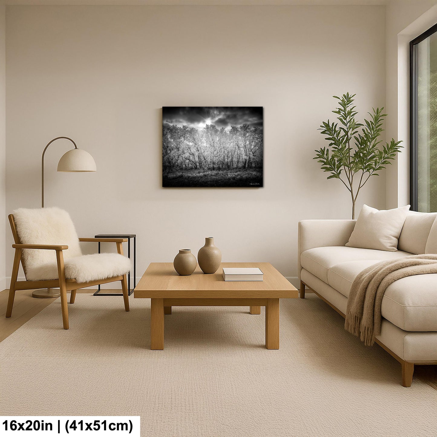 Rocky Mountain Landscape Print: Winter Nature Scene (Canvas or Metal)