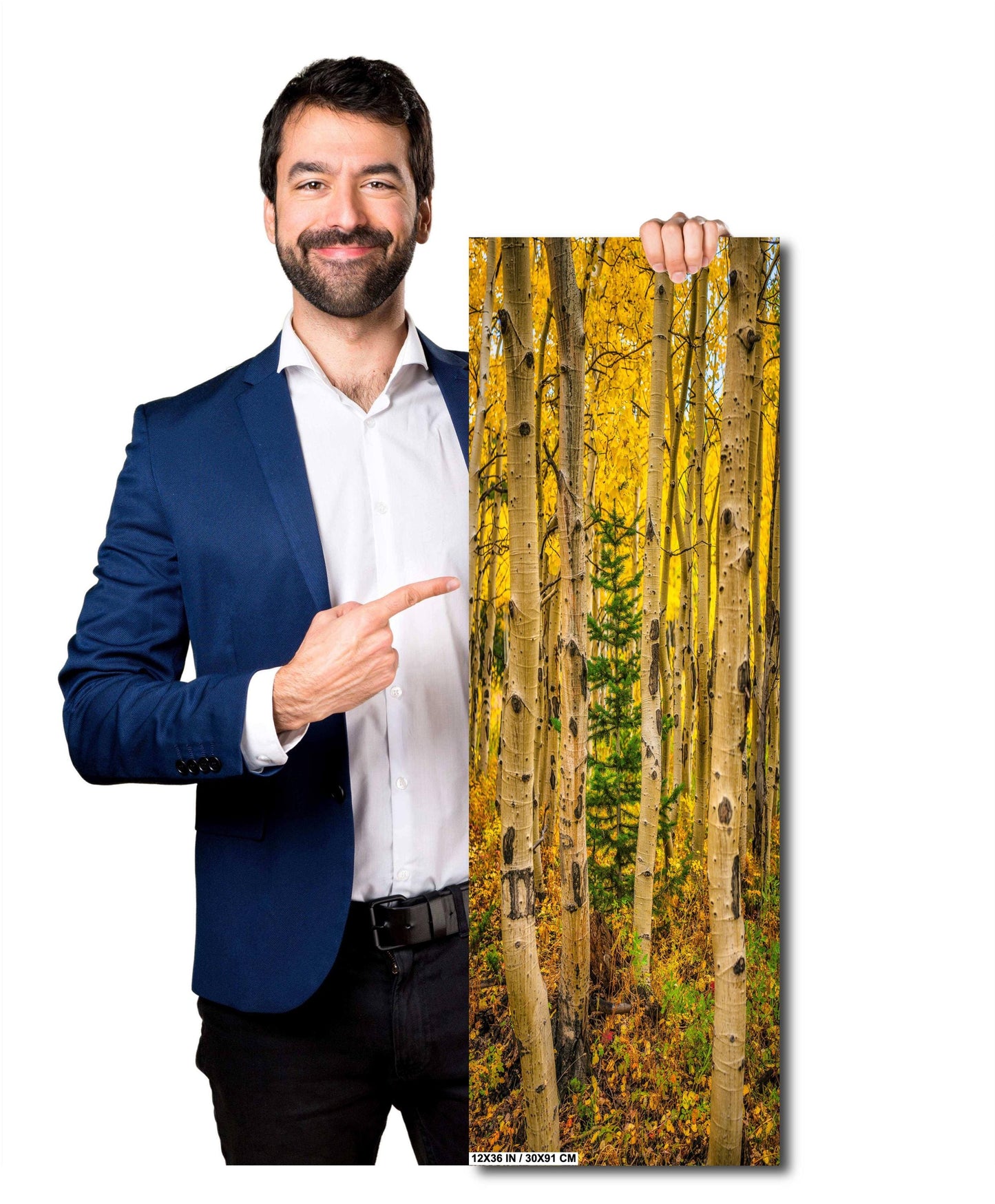 Colorado Aspen Wall Art – Large Autumn Tree Decor with Golden Leaves & Mountain Landscape Print