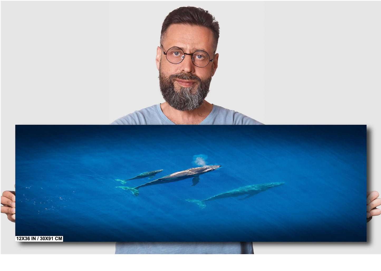 Humpback Whale Wall Art – Marine Canvas Print | Baby Whale Nursery Art Decor