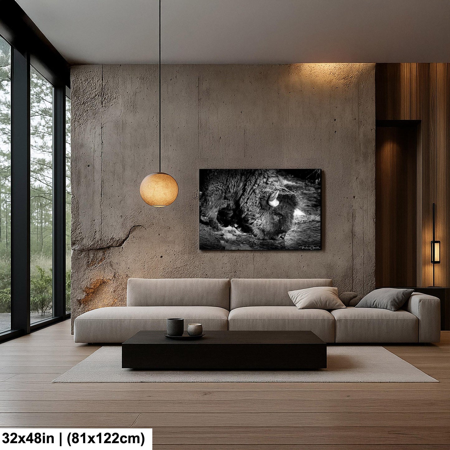 Buffalo Wall Art: Rustic Wildlife Photography - Ready to Hang