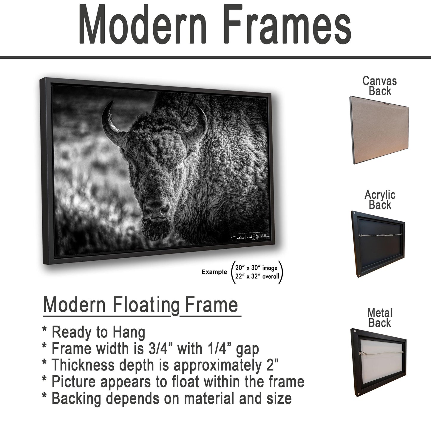 Buffalo Wall Art: Rustic Wildlife Photography - Ready to Hang