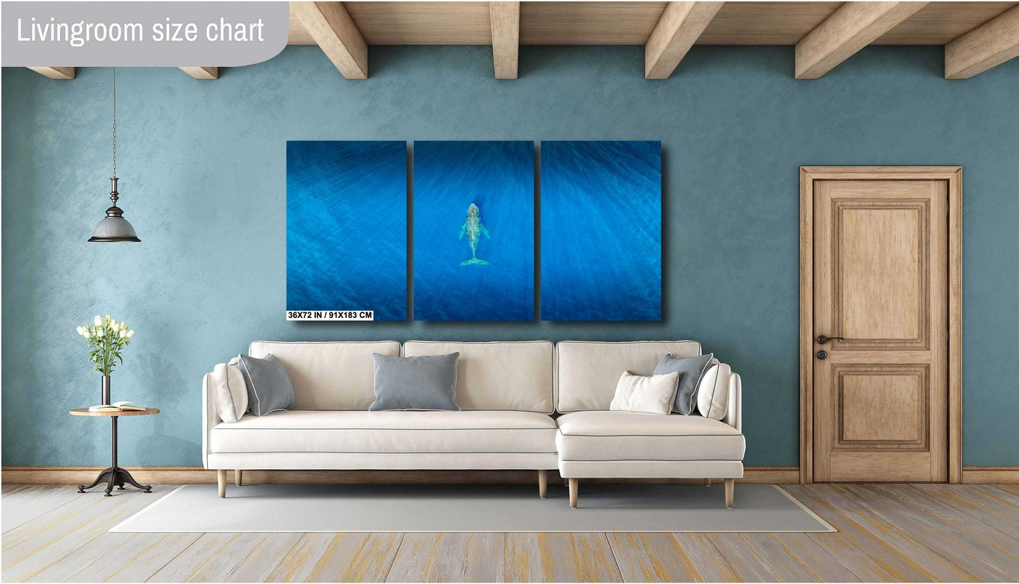 Humpback Whale Art Print – Ocean Wall Decor | Ready To Hang Canvas & Metal