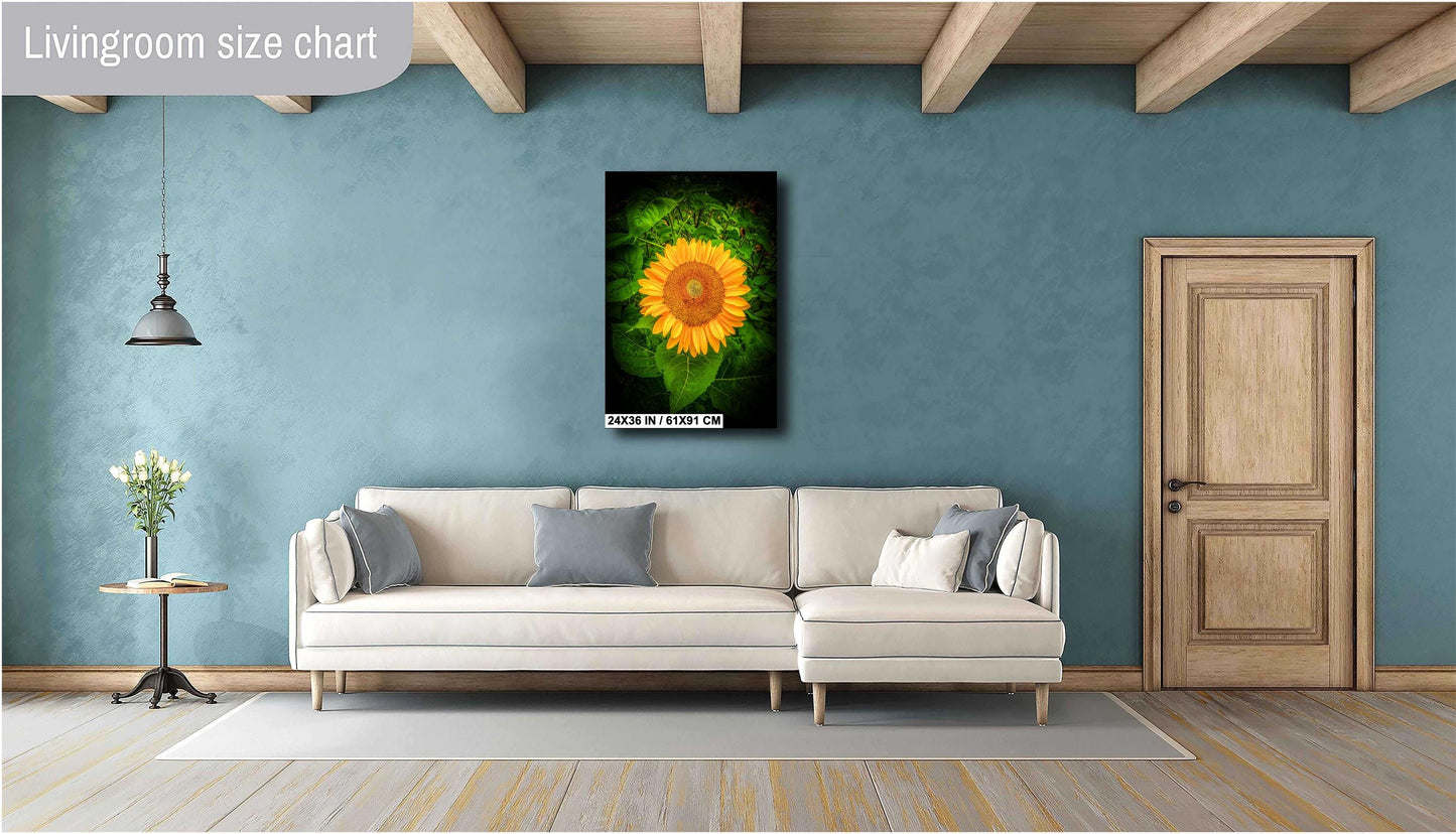 Sunflower Sunset Photo - Fine Art Photography Print | Large Canvas & Wall Art