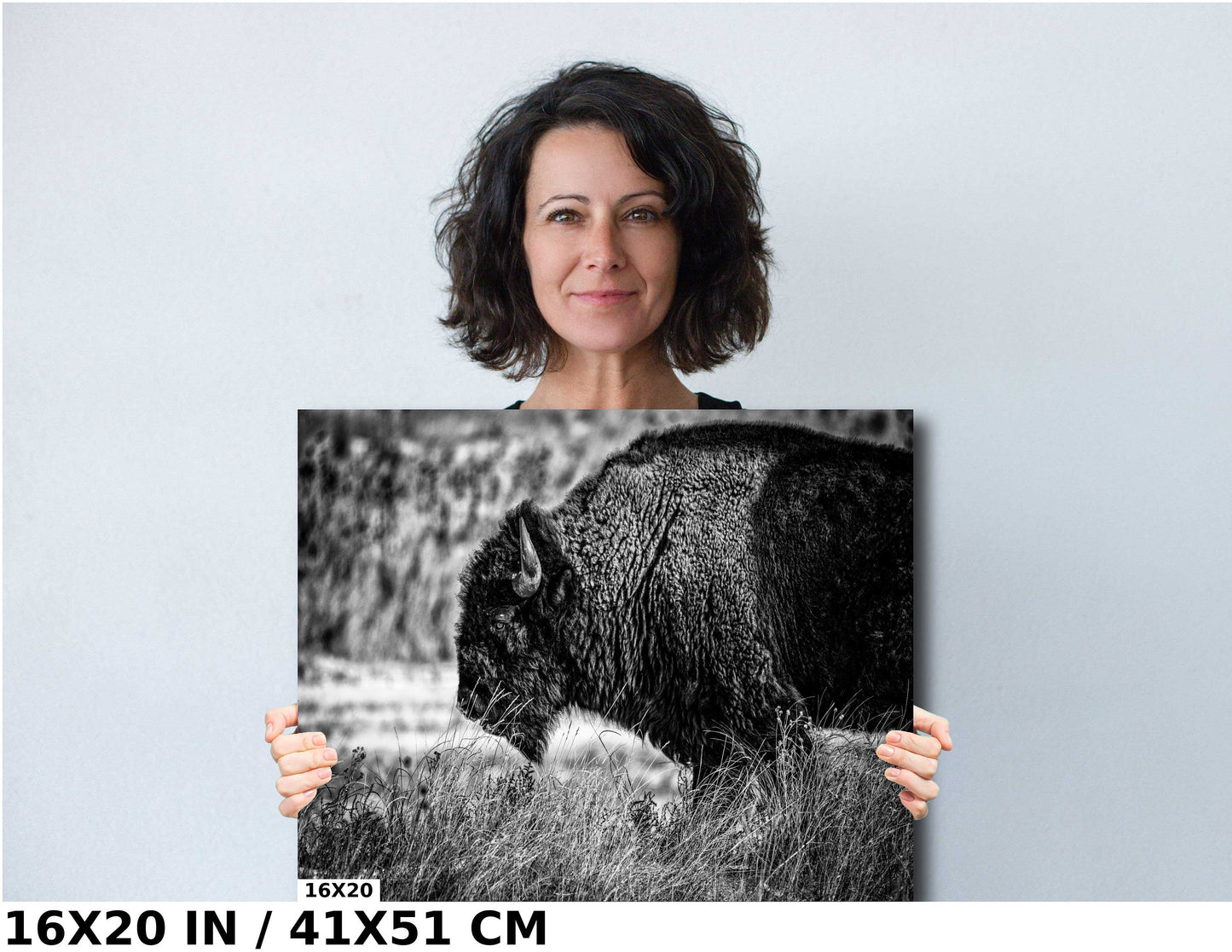 Buffalo Canvas Art – Bison Wall Decor | Wildlife Photography Print | Rustic Lodge Decoration