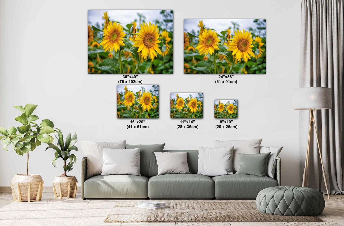 Sunflower Field Wall Art - Vibrant Yellow Sunflower Canvas Print | Rustic Farm Landscape