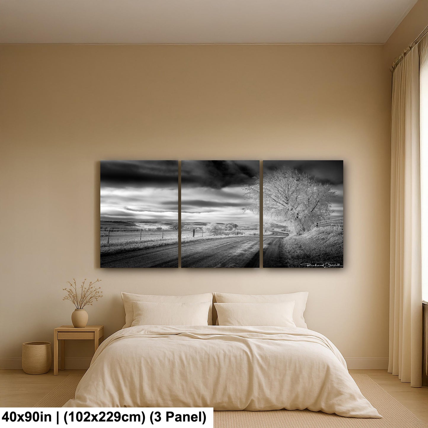 Winter Country Road Print: Black & White Landscape (Canvas or Metal)