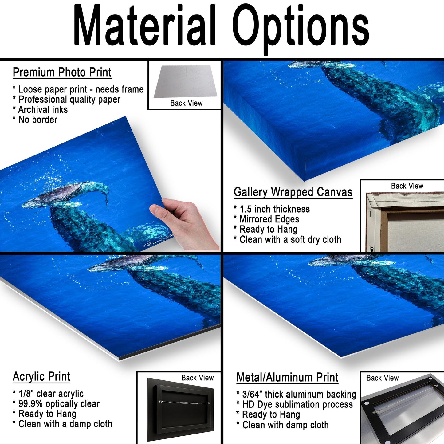 Humpback Whale Wall Art, Ocean Animal Print (Canvas, Metal, or Acrylic)