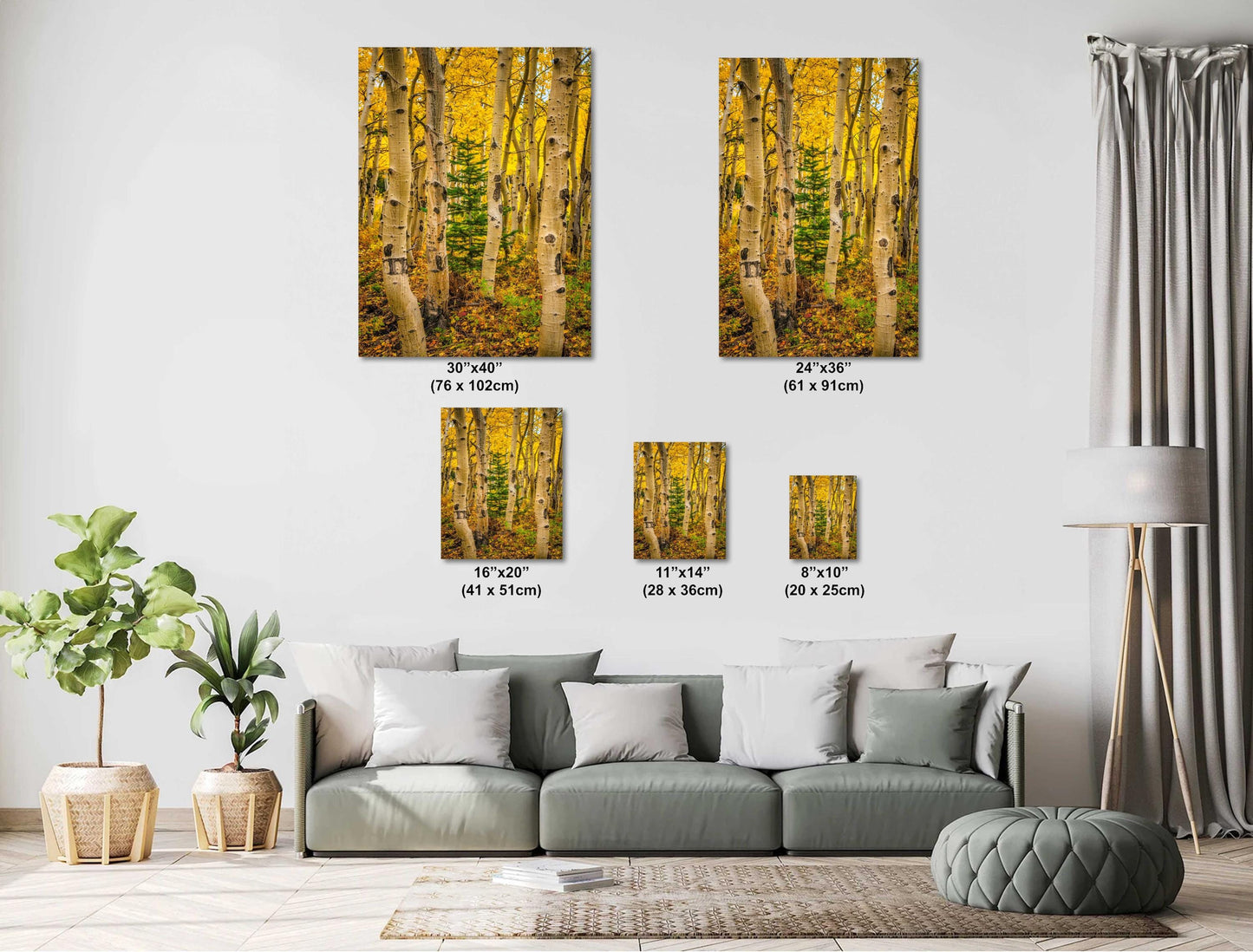 Colorado Aspen Wall Art – Large Autumn Tree Decor with Golden Leaves & Mountain Landscape Print