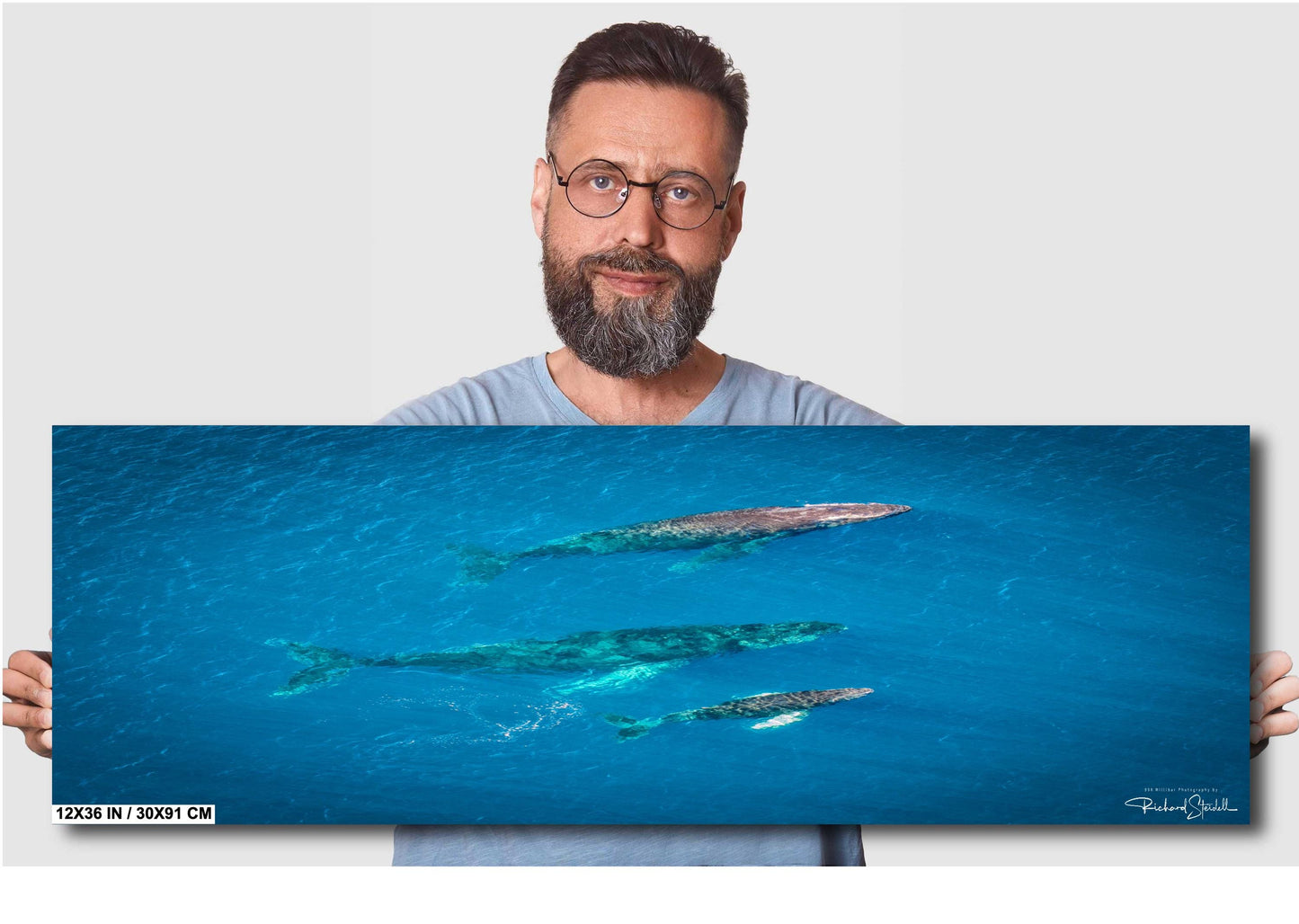 Humpback Whale Wall Art – Marine Home Decoration | Vibrant Ocean Canvas Print