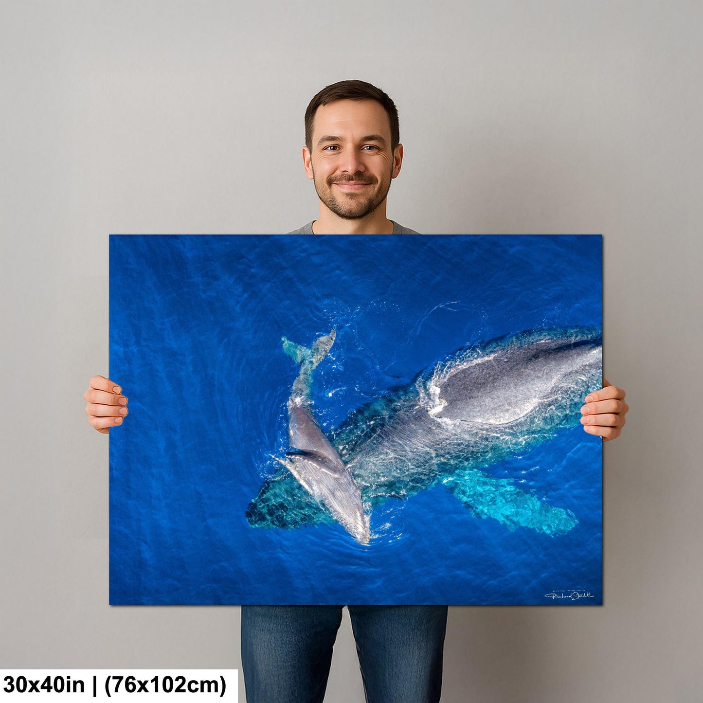 Humpback Whale Wall Art - Ocean Animal Print on Canvas, Metal, or Acrylic