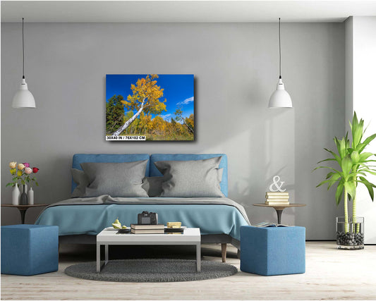 Aspen Trees Wall Art – Colorado Landscape Print | Rustic Fall Decor, Vibrant Autumn Leaves