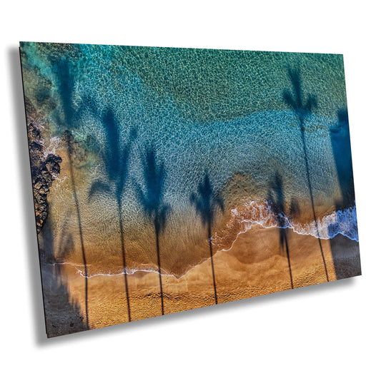 Maui Wall Art - Tropical Palm Tree Shadows Beach Photography Print | Coastal Decor