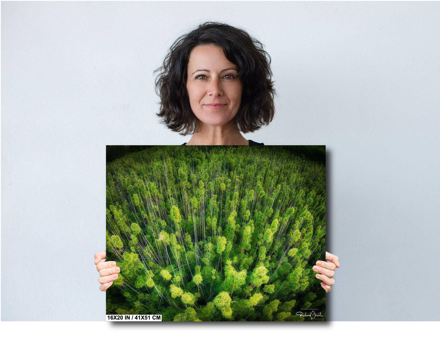 Bamboo Forest Wall Art - Nature Wall Decor | Botanical Canvas Print, Acrylic & Metal