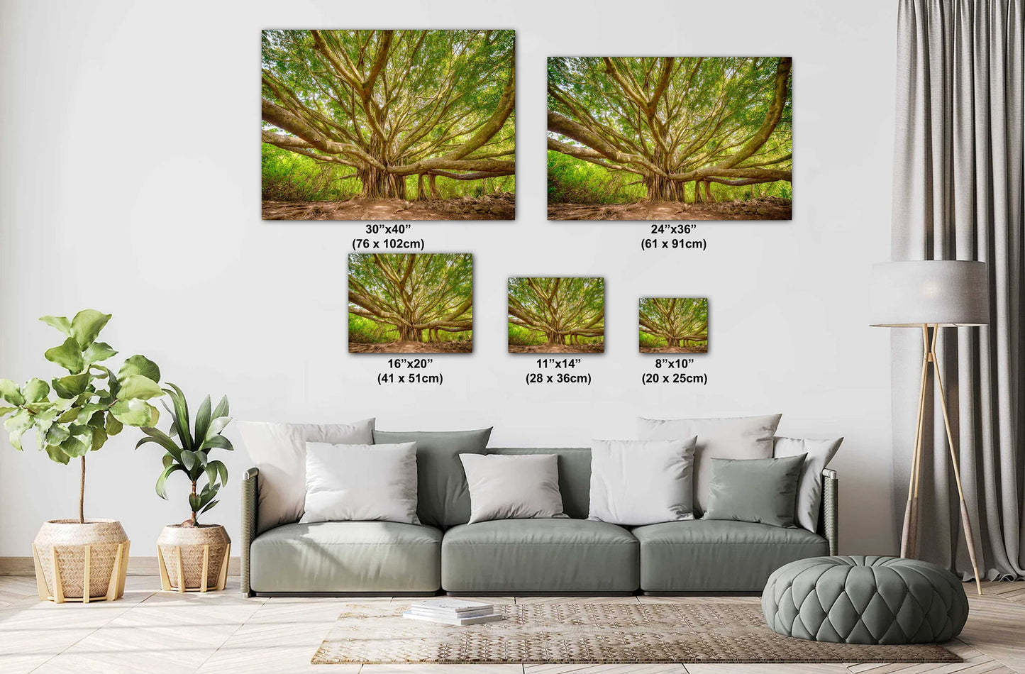 Maui Wall Art - Banyan Tree Photo on Premium Photo Paper | Hawaii Wall Decor