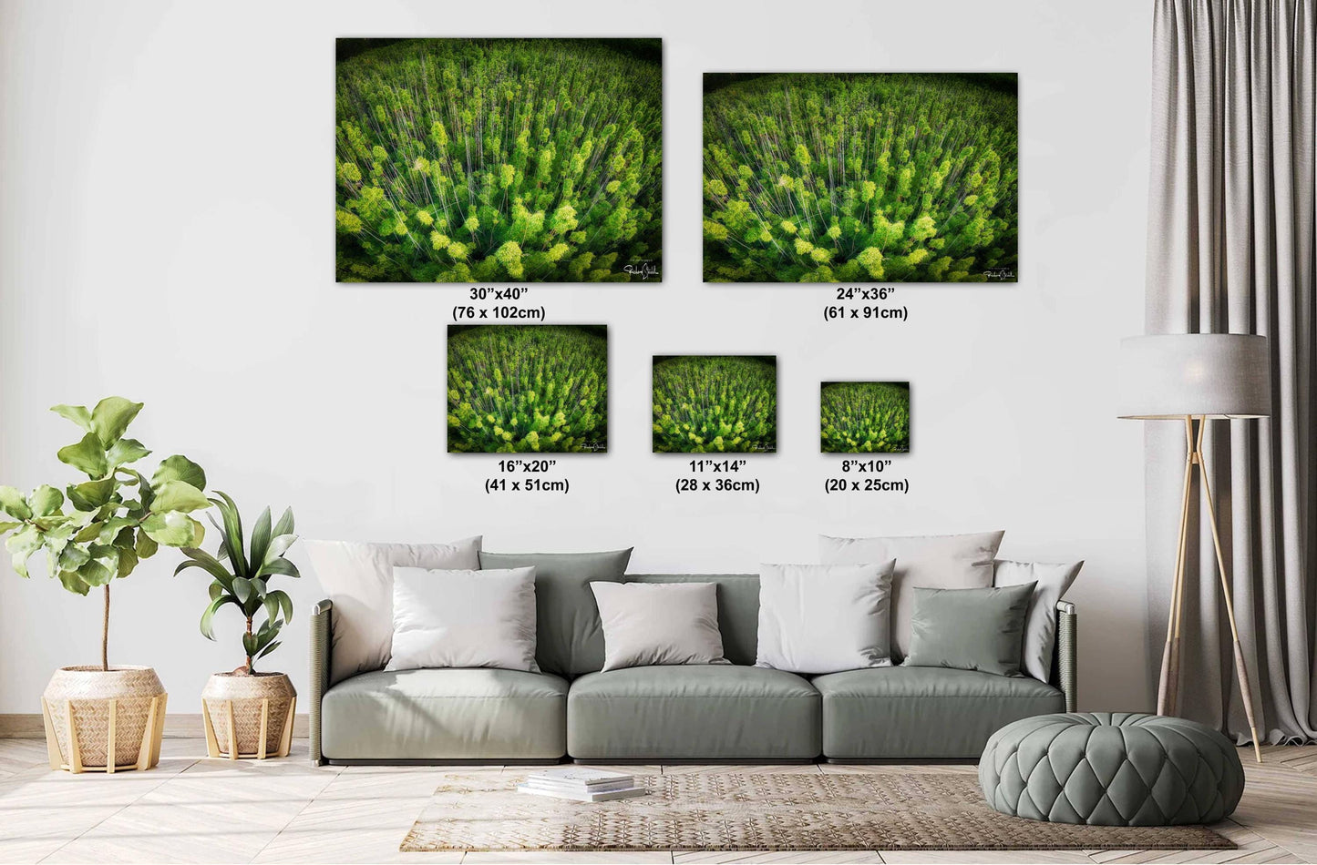 Bamboo Forest Wall Art - Nature Wall Decor | Botanical Canvas Print, Acrylic & Metal
