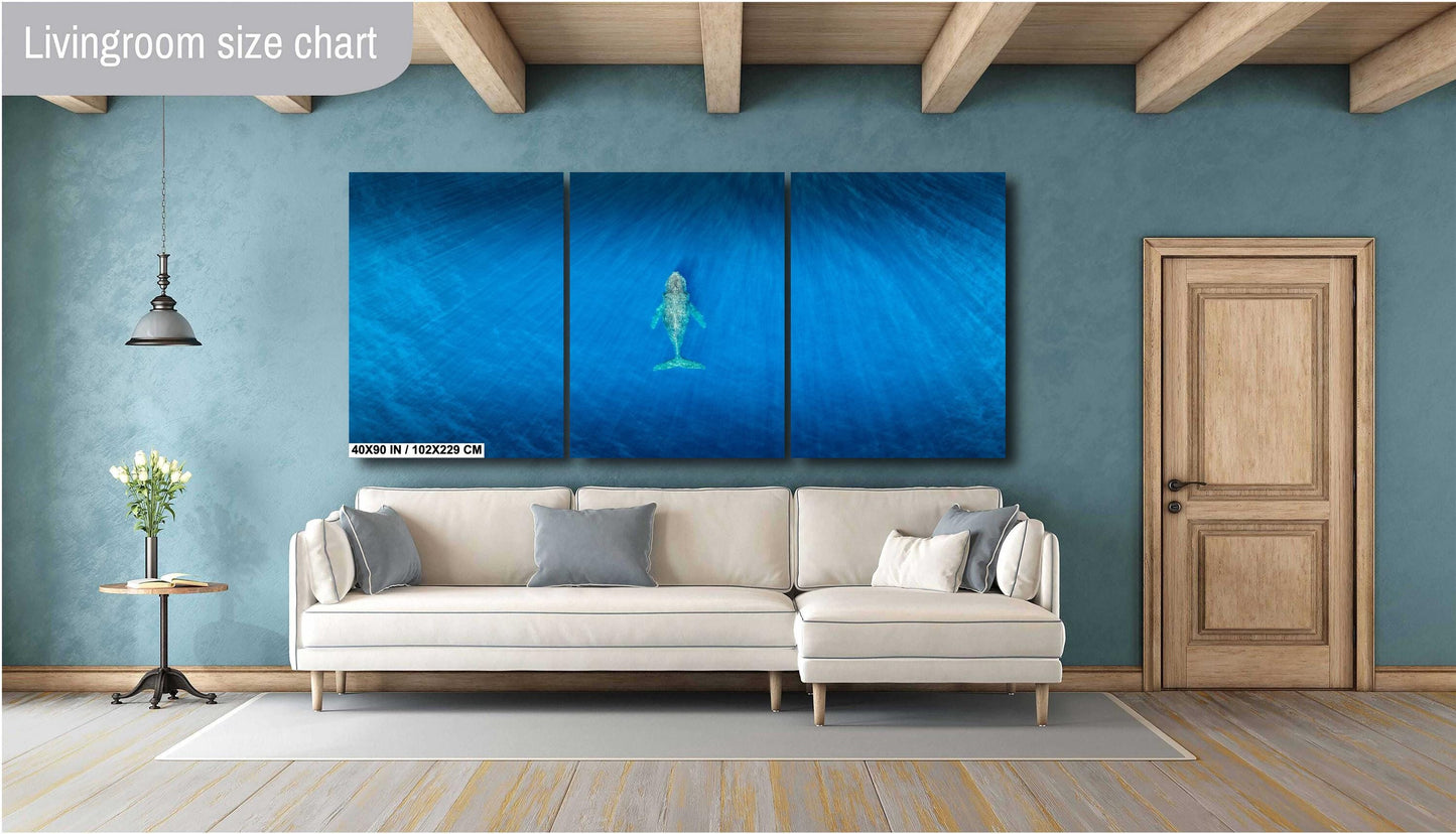 Humpback Whale Art Print – Ocean Wall Decor | Ready To Hang Canvas & Metal