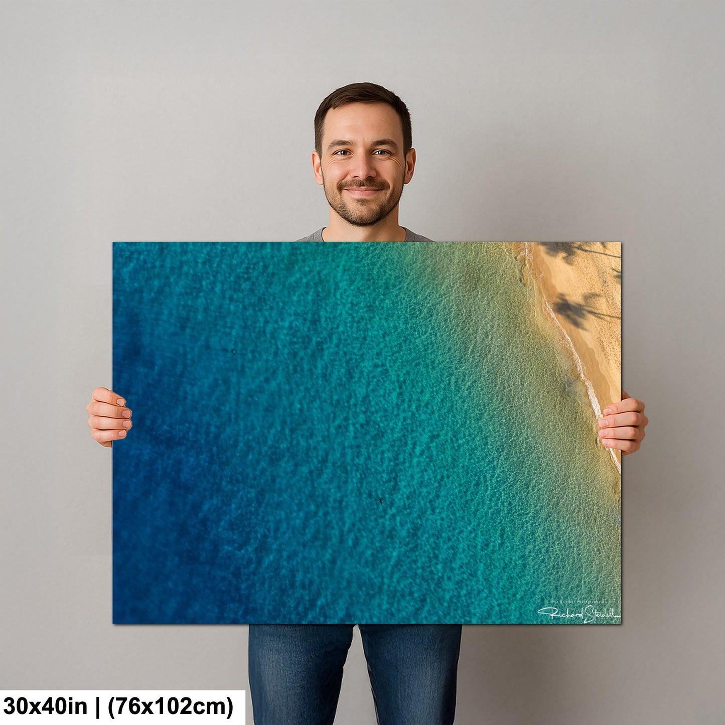 Sea Turtle Wall Art: Maui Ocean View - Tropical Coastal Decor