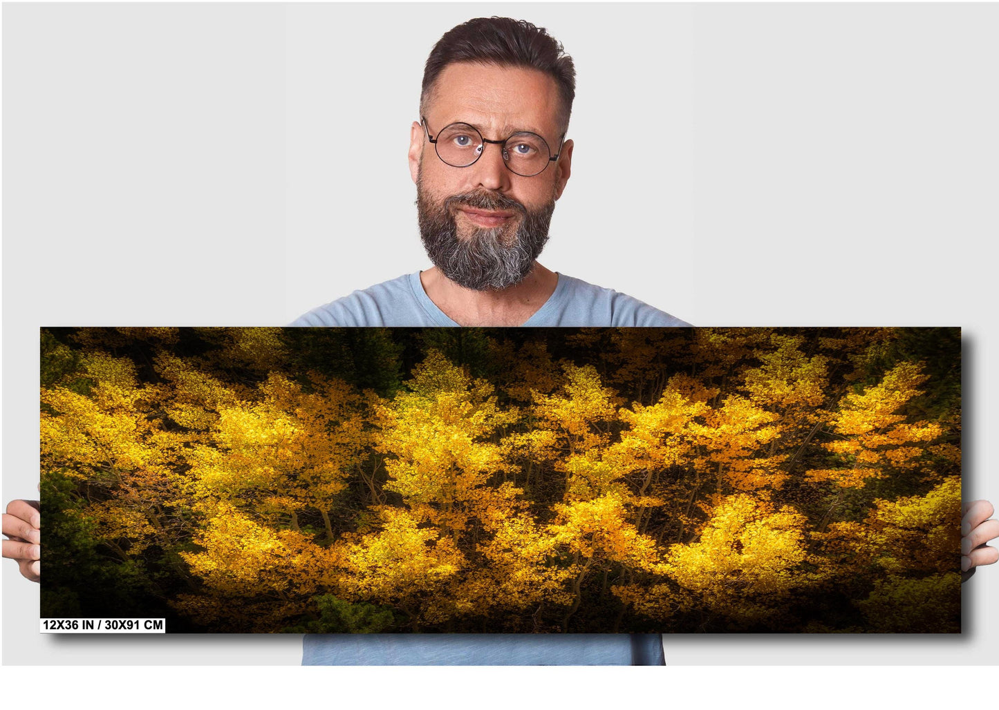 Golden Aspen Trees Print - Vibrant Fall Foliage Canvas | Nature Wall Decor