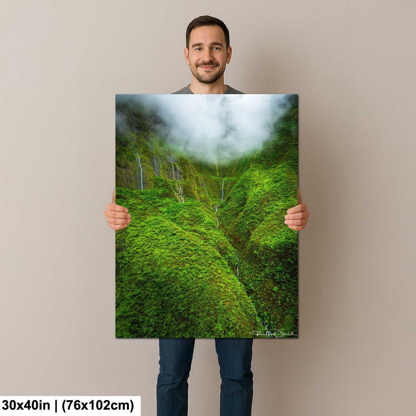 Hawaii Waterfall Wall Art: Tropical Hawaiian Jungle Landscape
