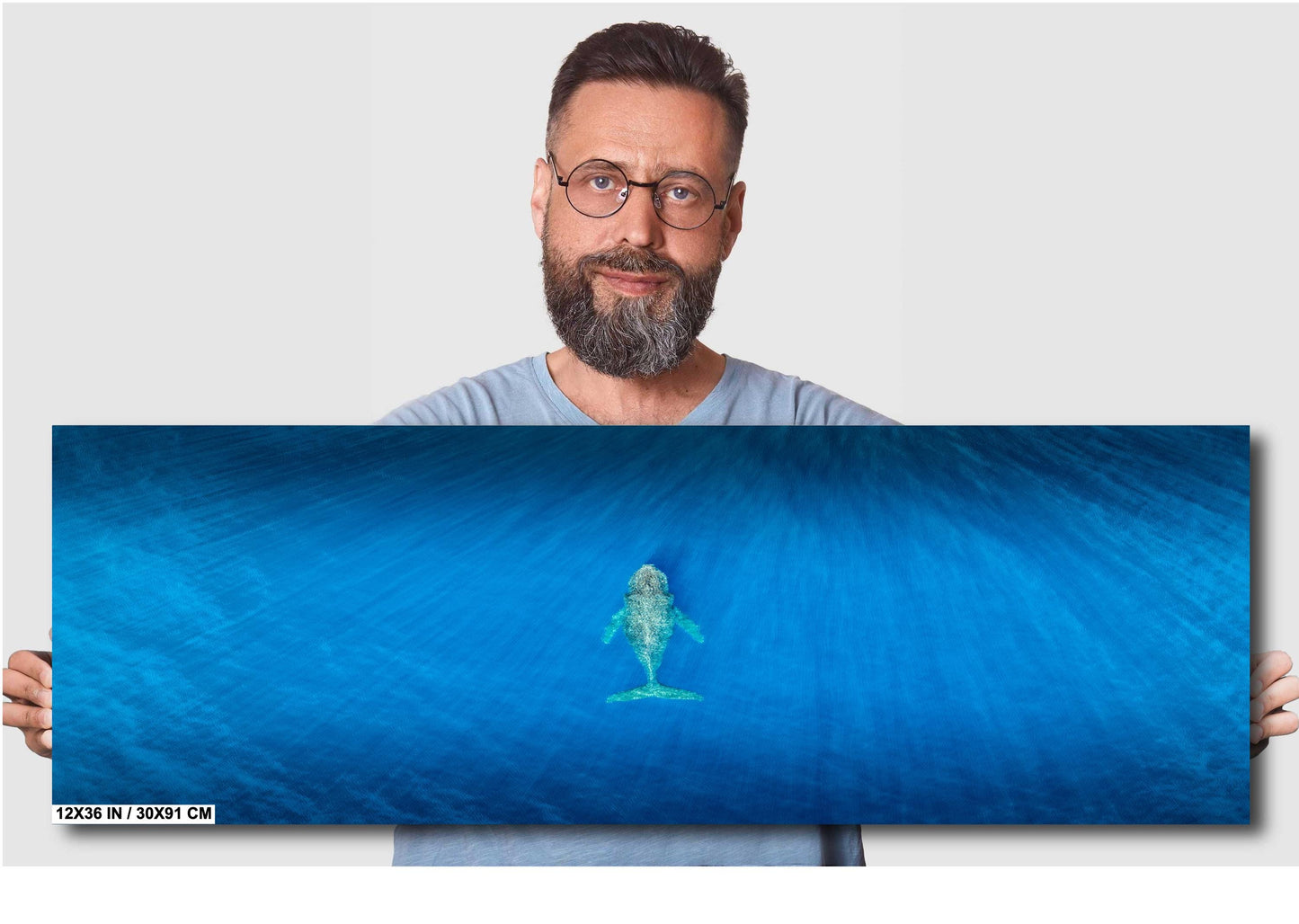 Humpback Whale Art Print – Ocean Wall Decor | Ready To Hang Canvas & Metal