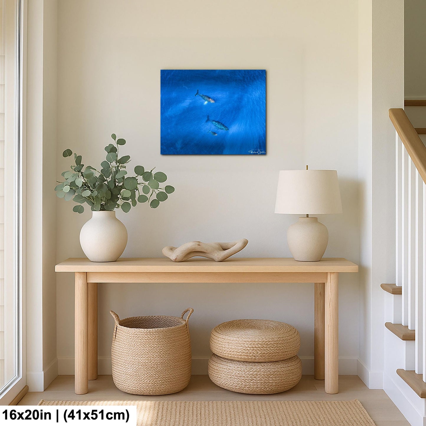 Humpback Whale Wall Art, Ocean Animal Print (Canvas, Metal, or Acrylic)
