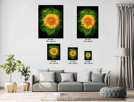Sunflower Sunset Photo - Fine Art Photography Print | Large Canvas & Wall Art
