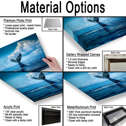 Humpback Whale Wall Art – Ocean Photo Print | Premium Photo Paper Decor