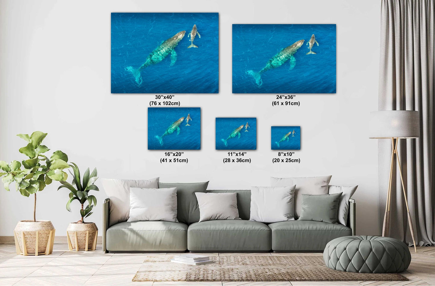 Humpback Whale Wall Art – Ocean Wall Decor | Marine Nursery Art & Coastal Home