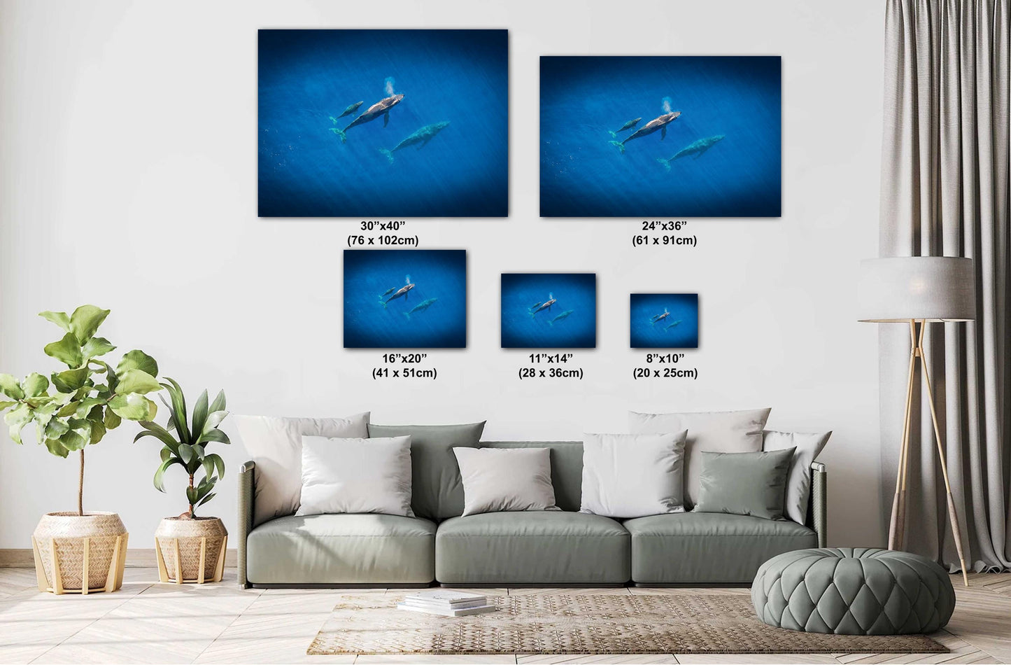 Humpback Whale Wall Art – Marine Canvas Print | Baby Whale Nursery Art Decor
