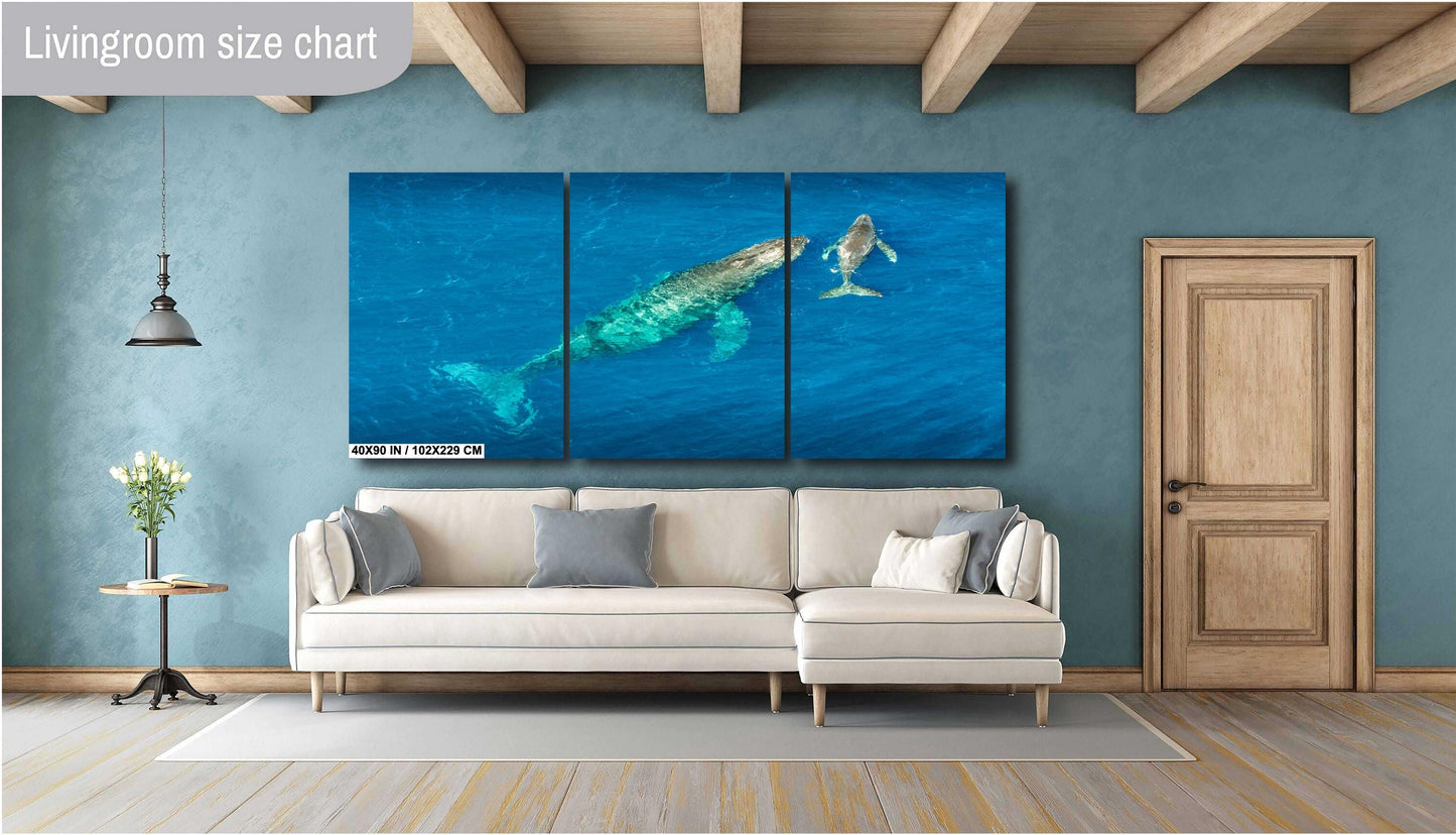 Humpback Whale Wall Art – Ocean Wall Decor | Marine Nursery Art & Coastal Home
