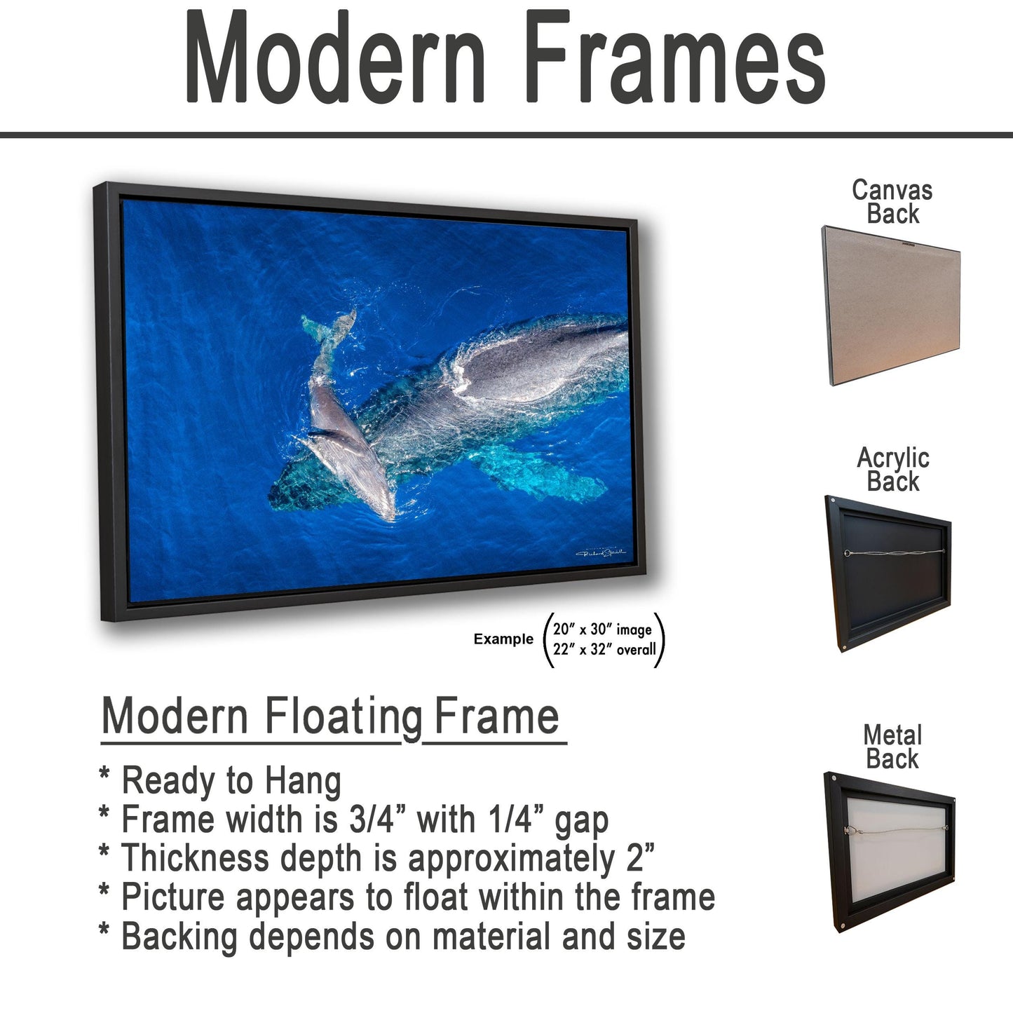 Humpback Whale Wall Art - Ocean Animal Print on Canvas, Metal, or Acrylic