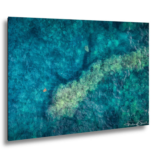 Sea Turtle Wall Art: Maui Ocean View - Tropical Coastal Decor