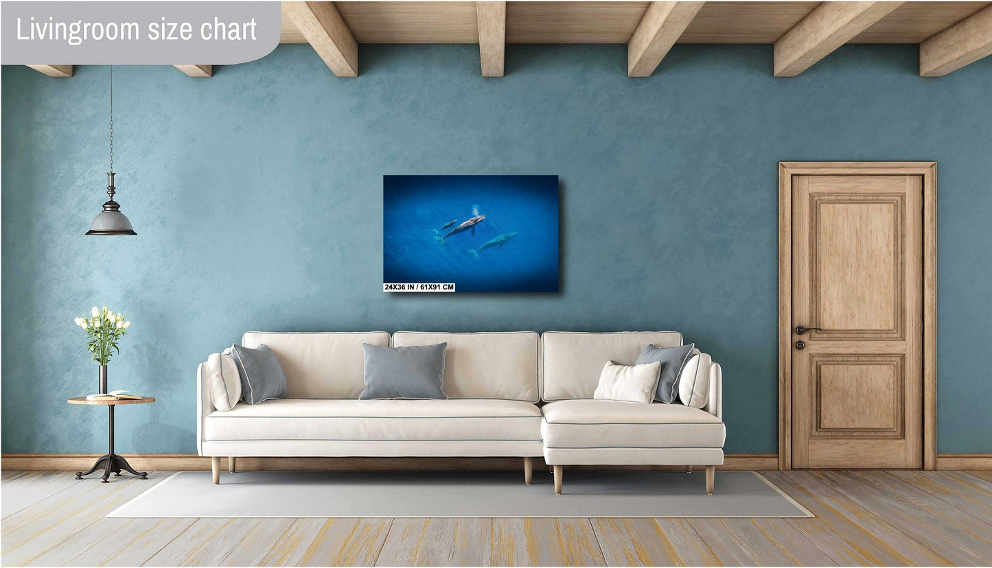 Humpback Whale Wall Art – Marine Canvas Print | Baby Whale Nursery Art Decor