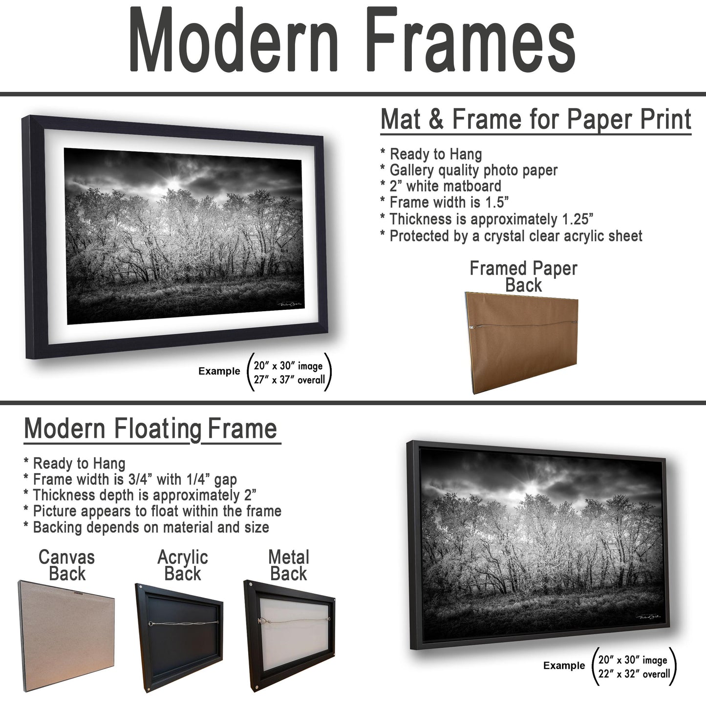 Rocky Mountain Landscape Print: Winter Nature Scene (Canvas or Metal)