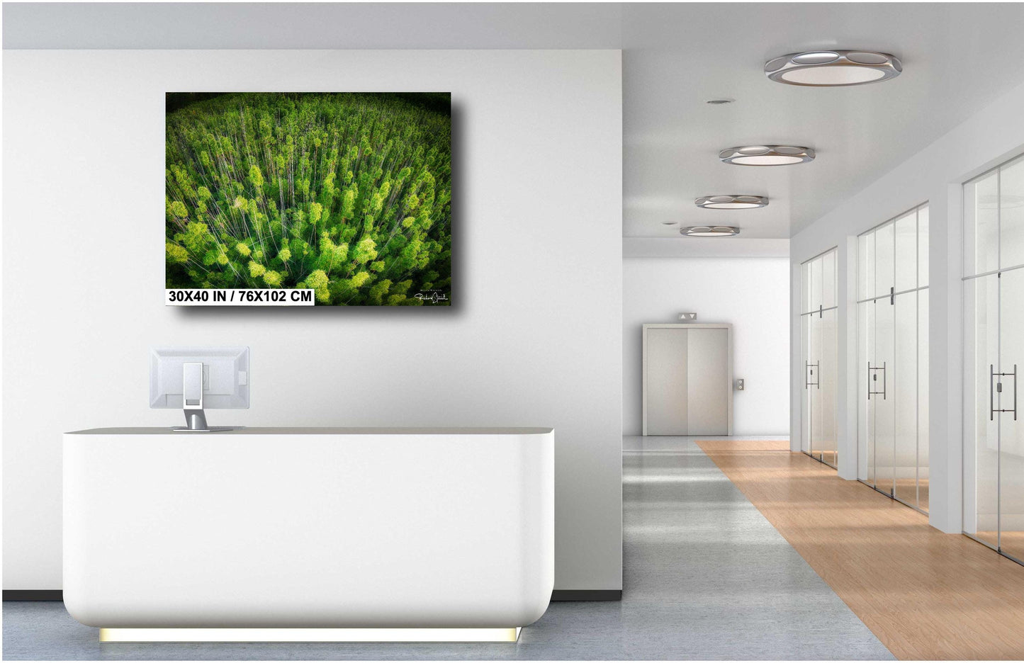 Bamboo Forest Wall Art - Nature Wall Decor | Botanical Canvas Print, Acrylic & Metal