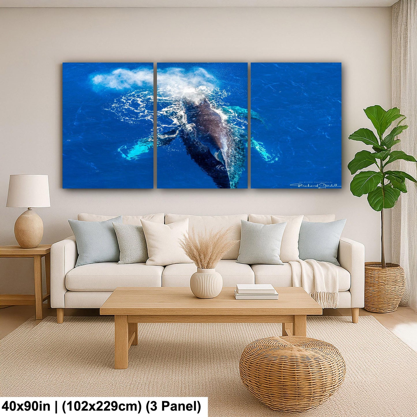 Humpback Whale Wall Art - Ocean Photo Print for Home