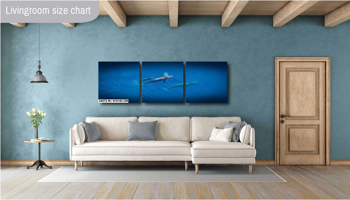 Humpback Whale Wall Art – Marine Canvas Print | Baby Whale Nursery Art Decor