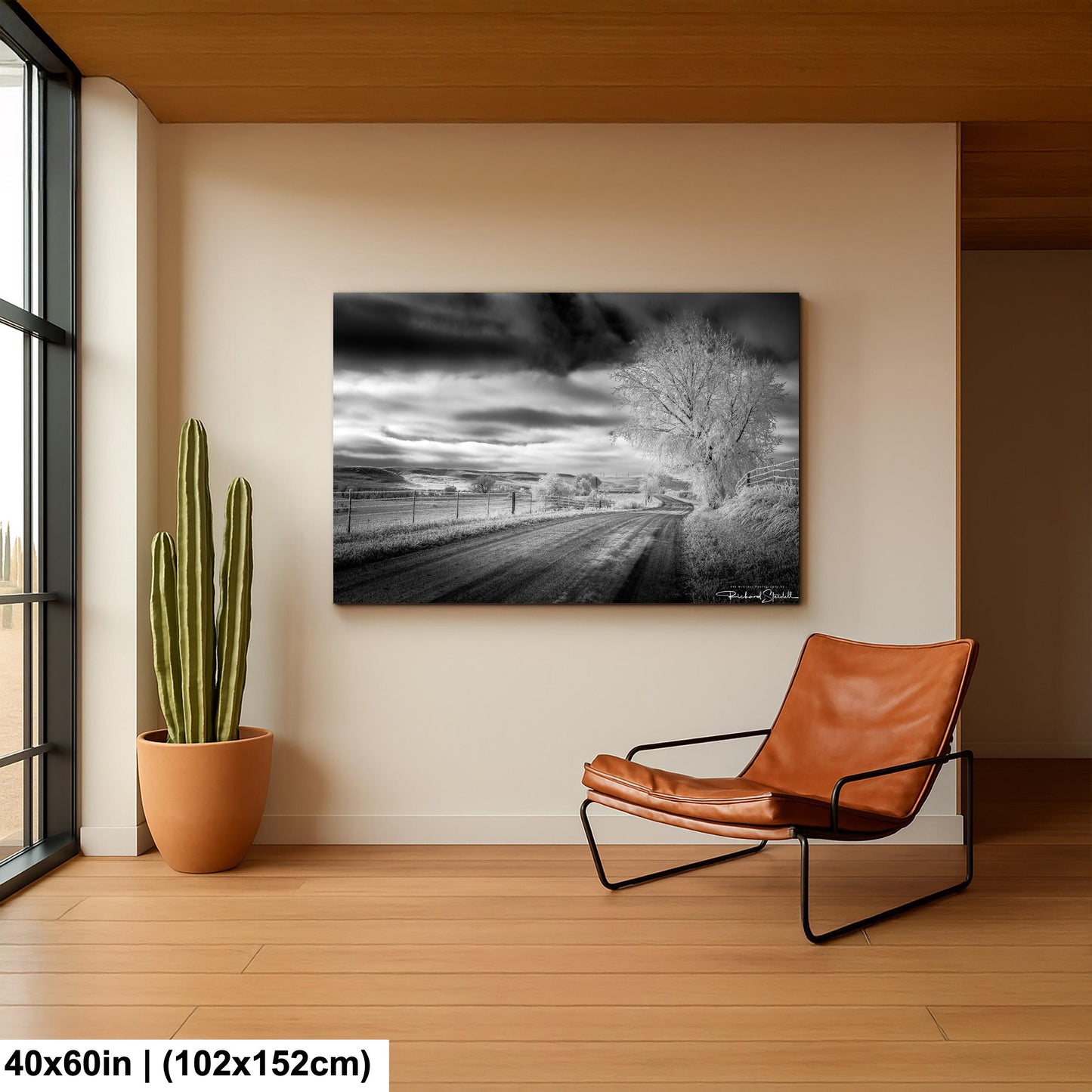 Winter Country Road Print: Black & White Landscape (Canvas or Metal)