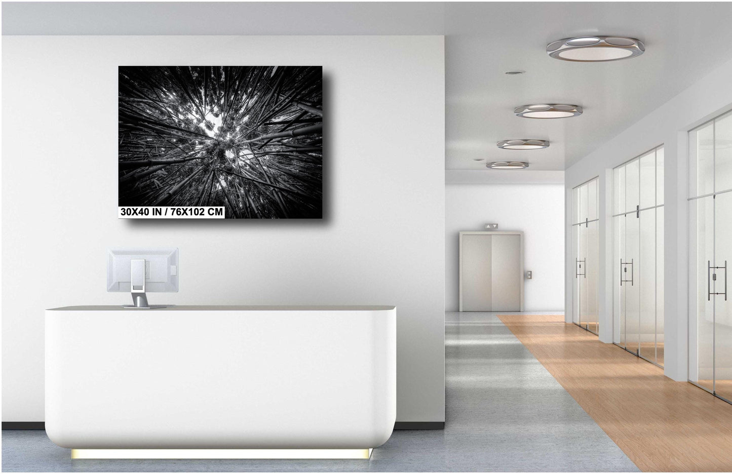 Bamboo Forest Wall Art – Nature Landscape Photography | Green Woodland Decor